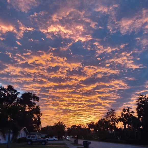 FOLLOW GAME - Picture 10 of 12